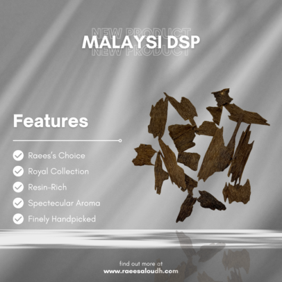 MALAYSI DSP